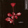 Cover for Violator by Depeche Mode